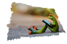 wir sind keine Frösche